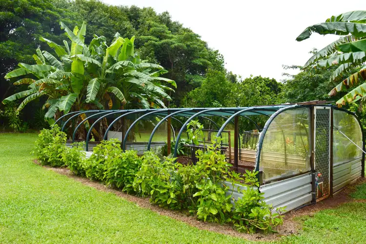 Fifth view of Homely house listing, 1 Palm Drive, Carmoo QLD 4852