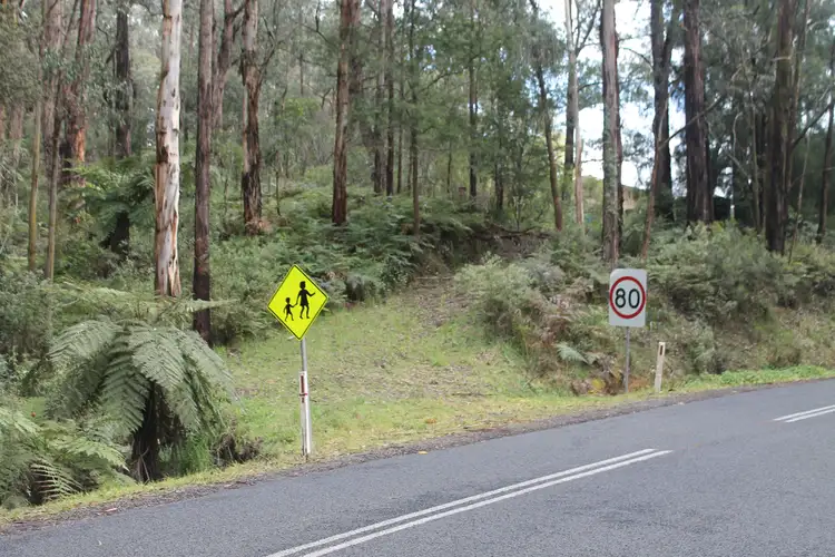 Main view of Homely land listing, 678 Mt Baw Baw Tourist Road, Noojee VIC 3833