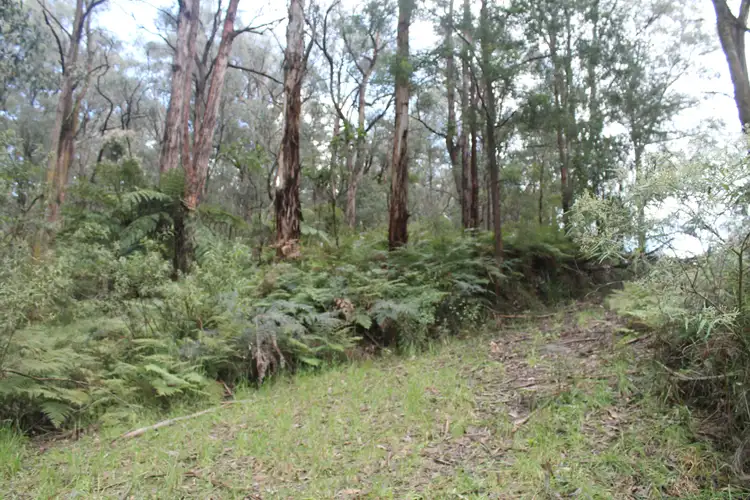 Third view of Homely land listing, 678 Mt Baw Baw Tourist Road, Noojee VIC 3833