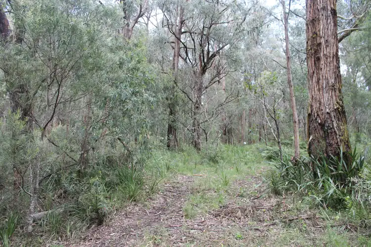 Fifth view of Homely land listing, 678 Mt Baw Baw Tourist Road, Noojee VIC 3833