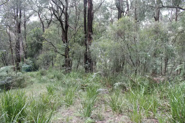 Seventh view of Homely land listing, 678 Mt Baw Baw Tourist Road, Noojee VIC 3833