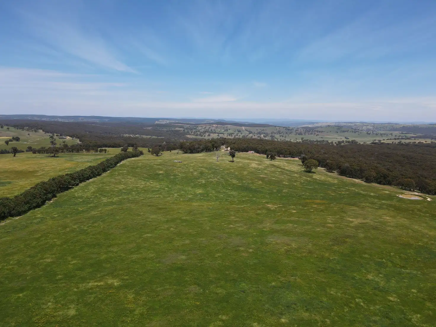 Main view of Homely rural property listing, 1562 Triangle Flat Road, Triangle Flat NSW 2795