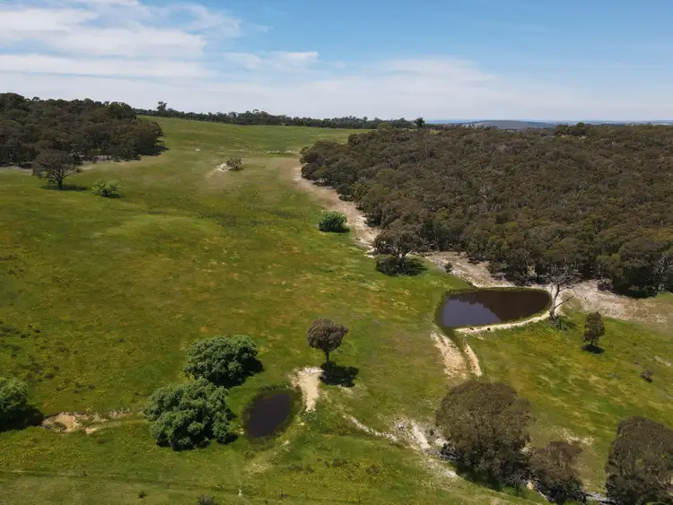 Fifth view of Homely rural property listing, 1562 Triangle Flat Road, Triangle Flat NSW 2795