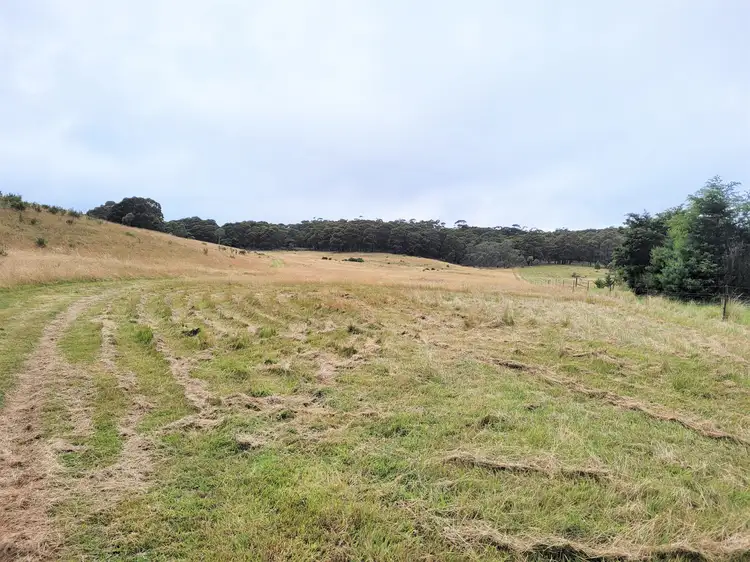 Third view of Homely rural property listing, 4608 Kings Highway, Monga, Braidwood NSW 2622