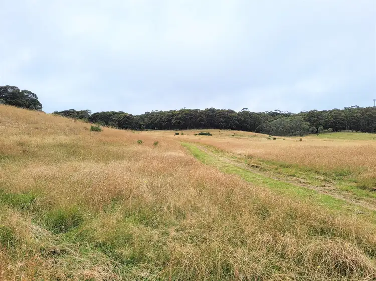 Fourth view of Homely rural property listing, 4608 Kings Highway, Monga, Braidwood NSW 2622
