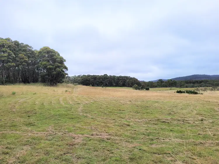 Fifth view of Homely rural property listing, 4608 Kings Highway, Monga, Braidwood NSW 2622