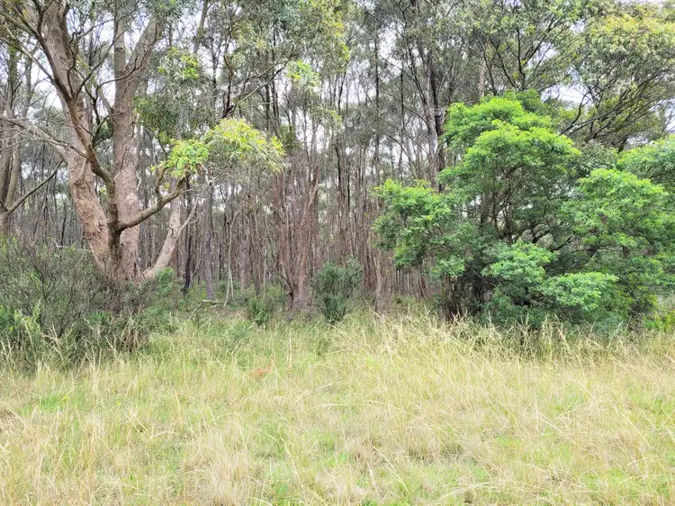 Sixth view of Homely rural property listing, 4608 Kings Highway, Monga, Braidwood NSW 2622