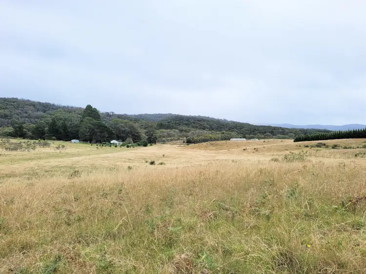 Seventh view of Homely rural property listing, 4608 Kings Highway, Monga, Braidwood NSW 2622