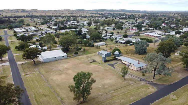16 Kneipp Street, Ashford NSW 2361