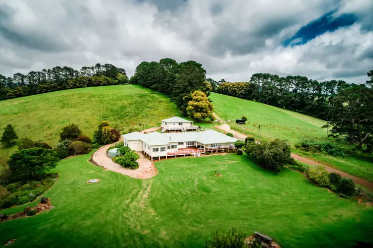 591 Shephards Road, Dorrigo NSW 2453