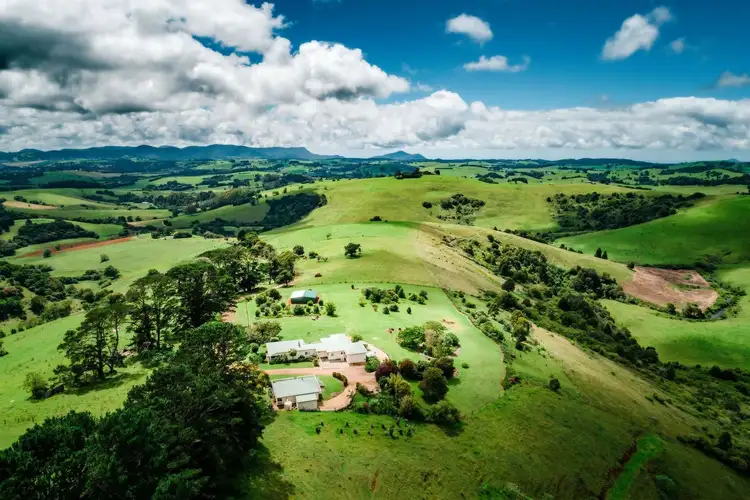 Second view of Homely other listing, 591 Shephards Road, Dorrigo NSW 2453