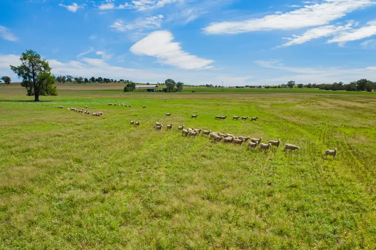 Fifth view of Homely rural property listing, Address available on request