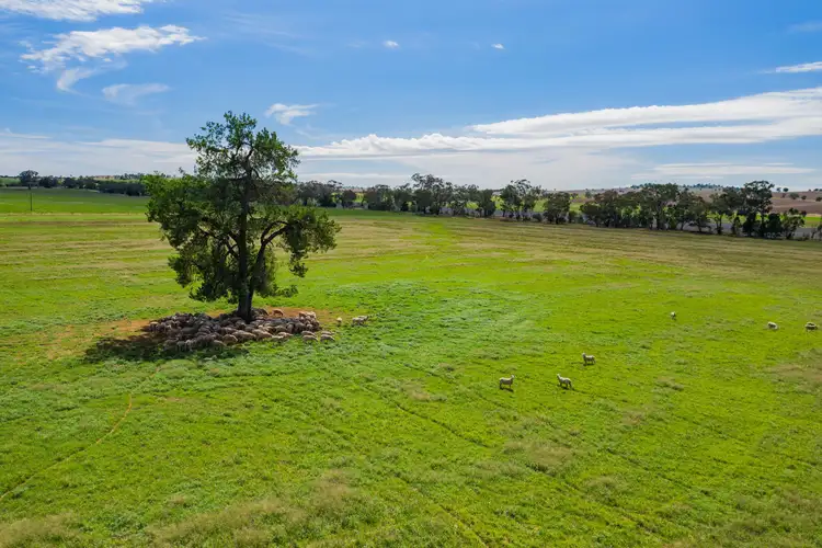 Sixth view of Homely rural property listing, Address available on request