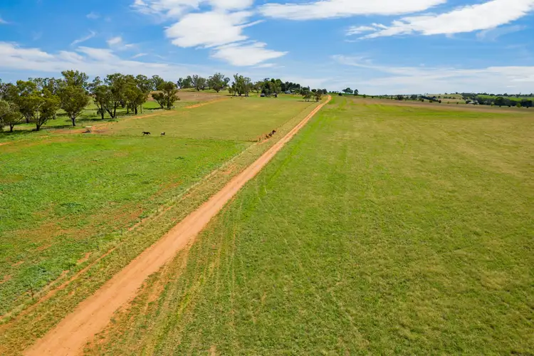 Seventh view of Homely rural property listing, Address available on request