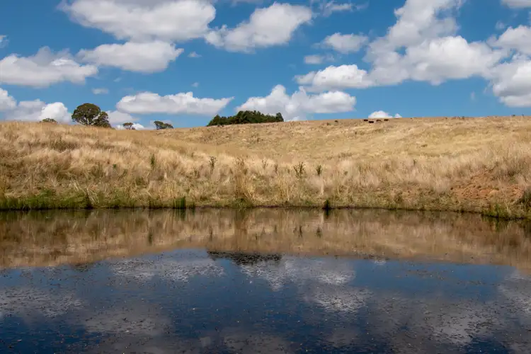 Fifth view of Homely rural property listing, 1698 Abercrombie Road, Black Springs NSW 2787