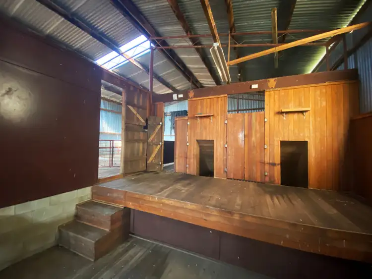 Seventh view of Homely rural property listing, 1698 Abercrombie Road, Black Springs NSW 2787