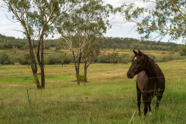 Third view of Homely rural property listing, 118 Banks Road, Felton QLD 4358