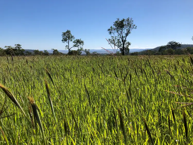 Fourth view of Homely rural property listing, 118 Banks Road, Felton QLD 4358