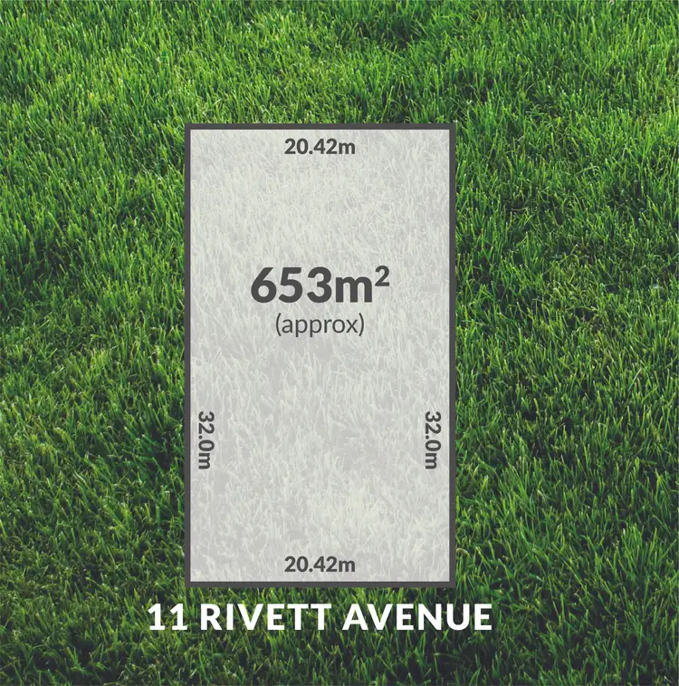 Second view of Homely house listing, 11 Rivett Avenue, Fulham Gardens SA 5024