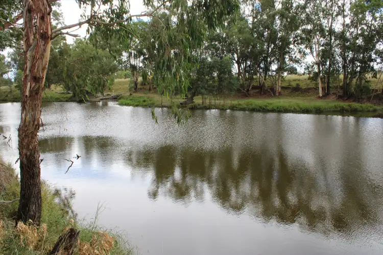 Second view of Homely rural property listing, 631 Bonshaw Road, Ashford NSW 2361