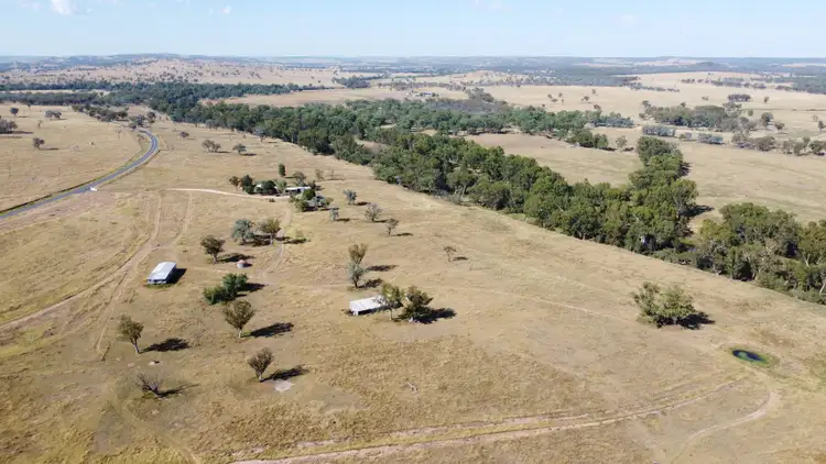 Third view of Homely rural property listing, 631 Bonshaw Road, Ashford NSW 2361