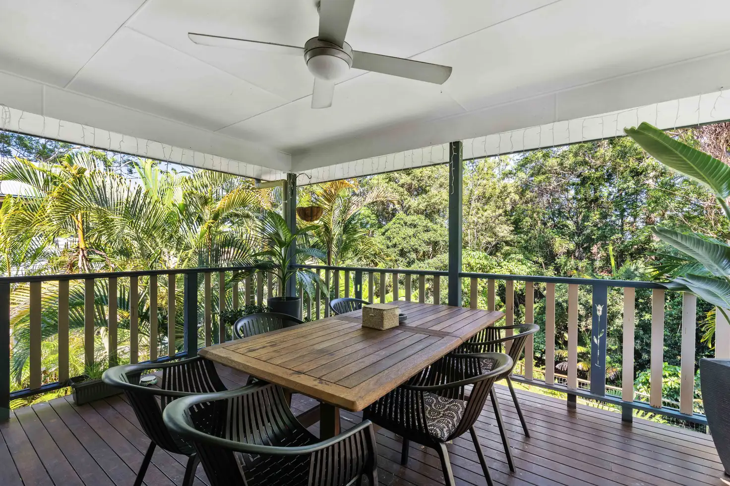 Main view of Homely house listing, 31 Hardwood Court, Buderim QLD 4556