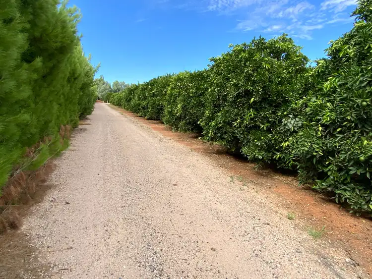 Second view of Homely rural property listing, 159 Kidman Way, Hanwood NSW 2680