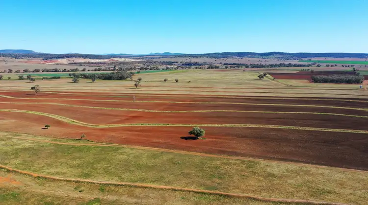 46 Coocooboonah Lane, Gunnedah NSW 2380