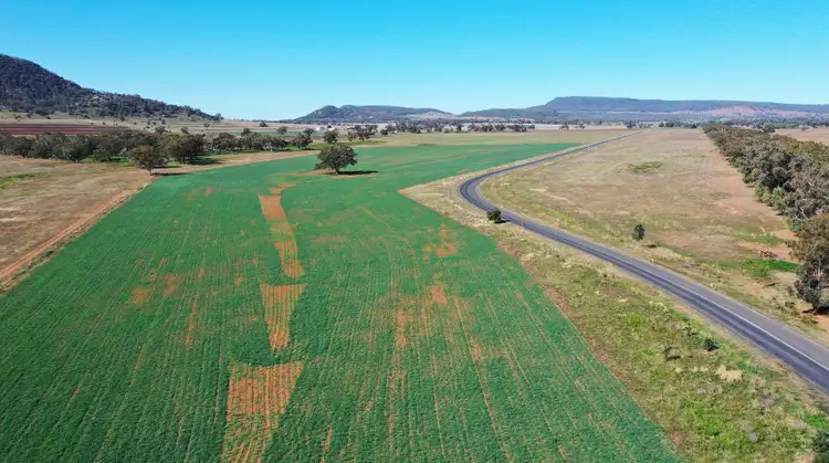 Fifth view of Homely rural property listing, 46 Coocooboonah Lane, Gunnedah NSW 2380