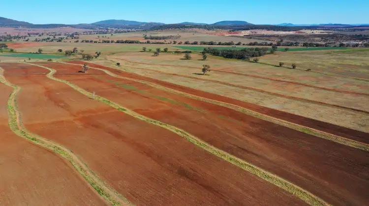 Sixth view of Homely rural property listing, 46 Coocooboonah Lane, Gunnedah NSW 2380