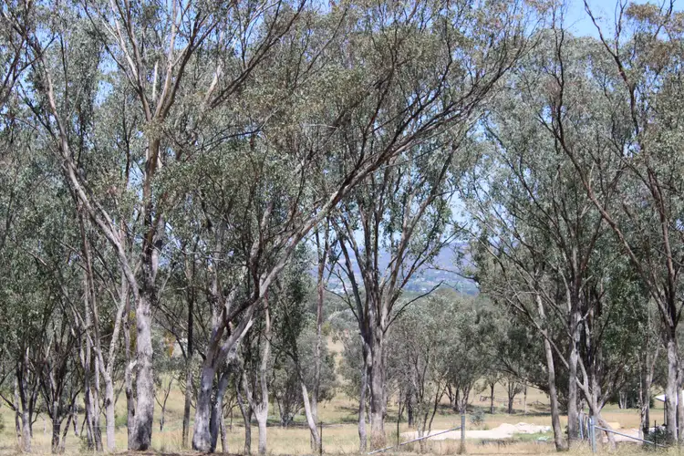 Seventh view of Homely land listing, Lot 19 Sylvan Drive, Inverell NSW 2360