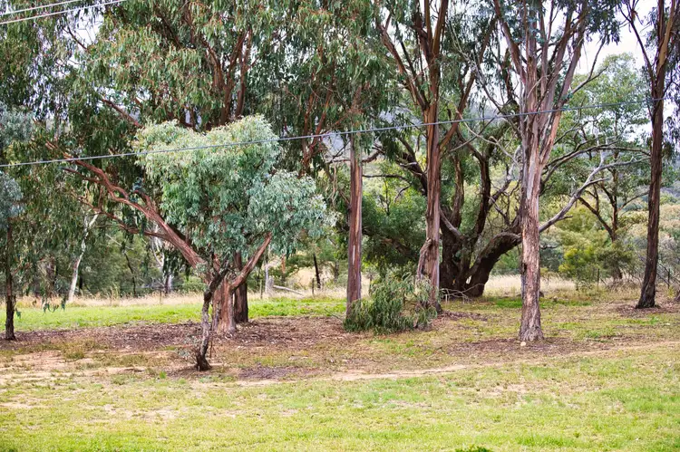 Fourth view of Homely house listing, 53 Mackellar Crescent, Cook ACT 2614