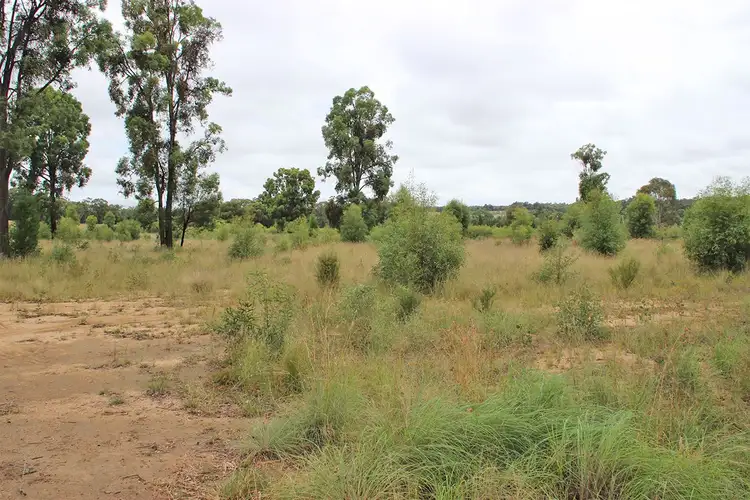 Sixth view of Homely rural property listing, 17004 OXLEY Highway, Coonabarabran NSW 2357