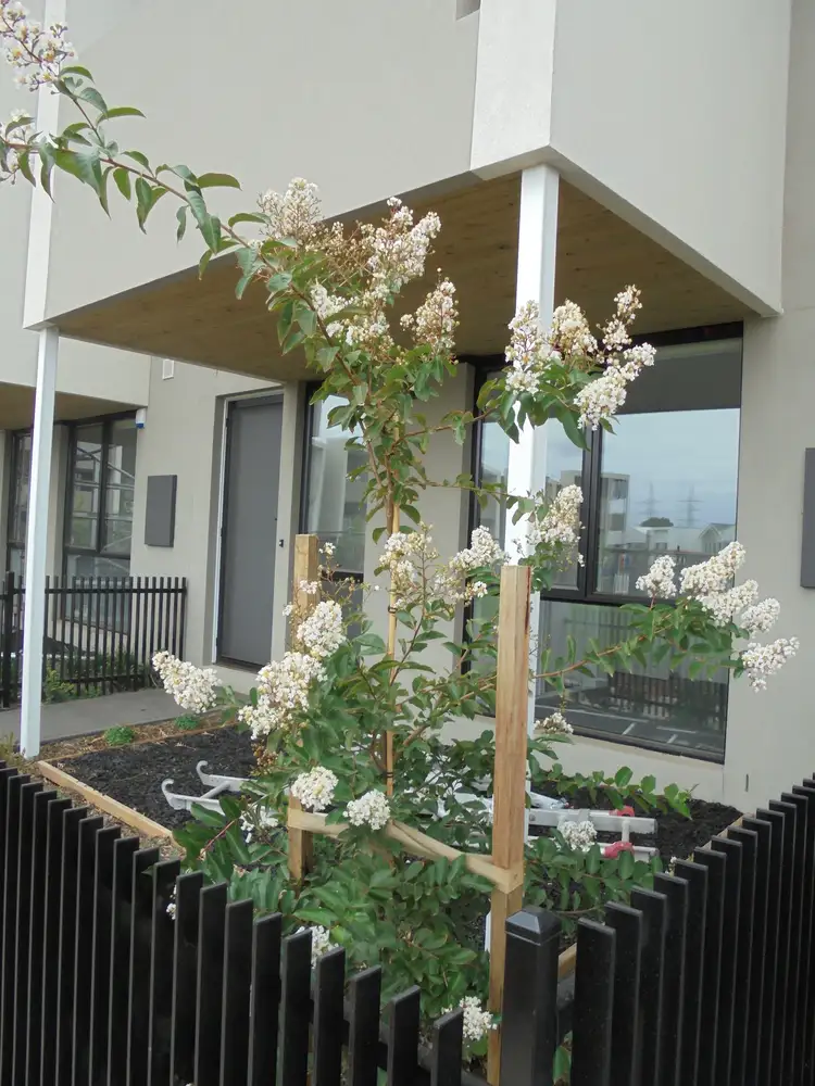 Second view of Homely house listing, 9 Callow Walk, St Albans VIC 3021