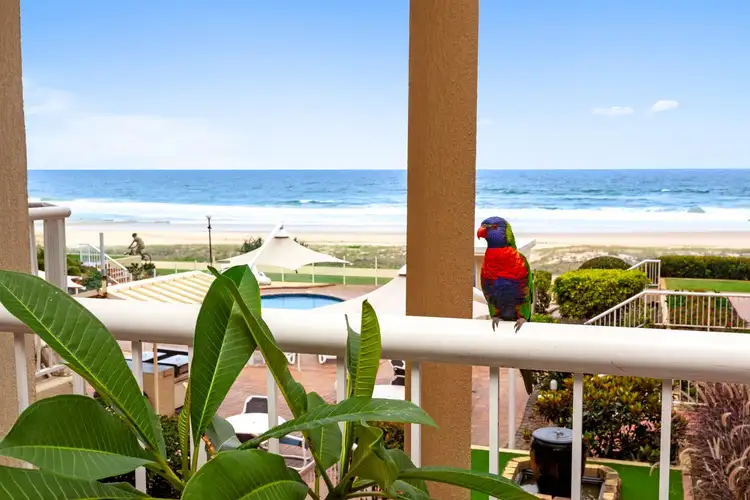Fourth view of Homely apartment listing, 17/329 Golden Four Drive, Tugun QLD 4224