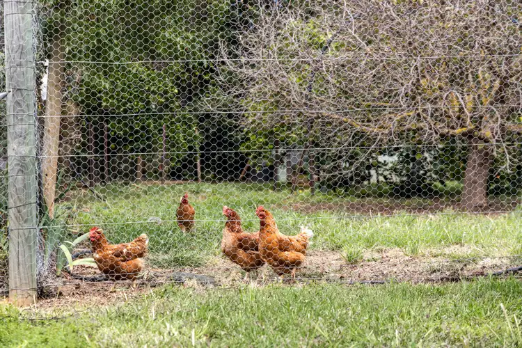 Fifth view of Homely land listing, 8 Harrow Lane, Yass NSW 2582