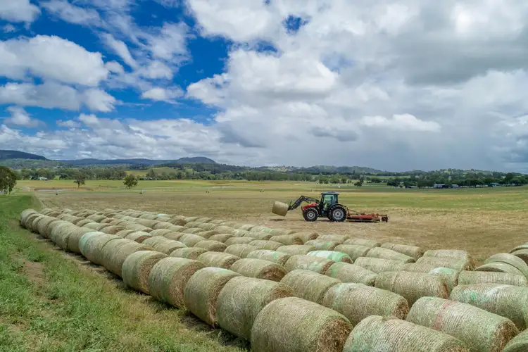 Third view of Homely rural property listing, 307 Innisplain Road, Innisplain QLD 4285