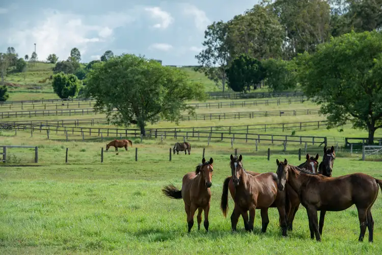 Fourth view of Homely rural property listing, 307 Innisplain Road, Innisplain QLD 4285
