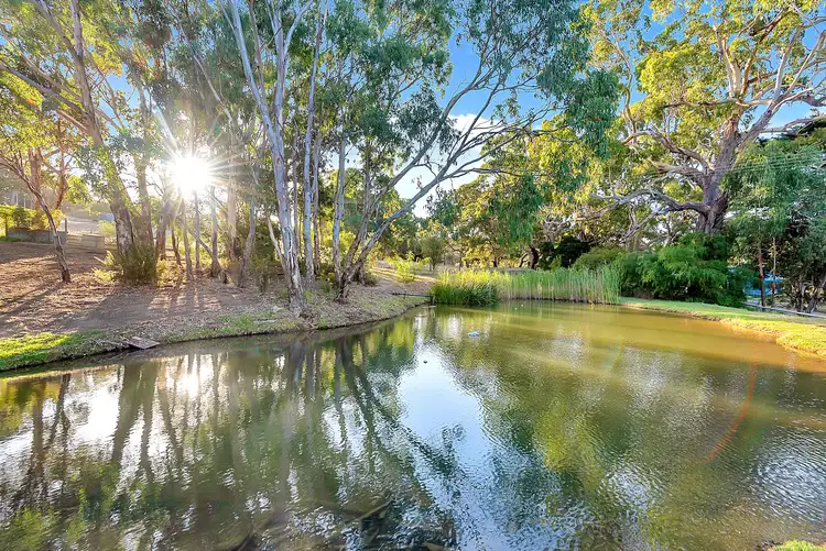 Sixth view of Homely rural property listing, 170 Broadbent Road, Paris Creek SA 5201
