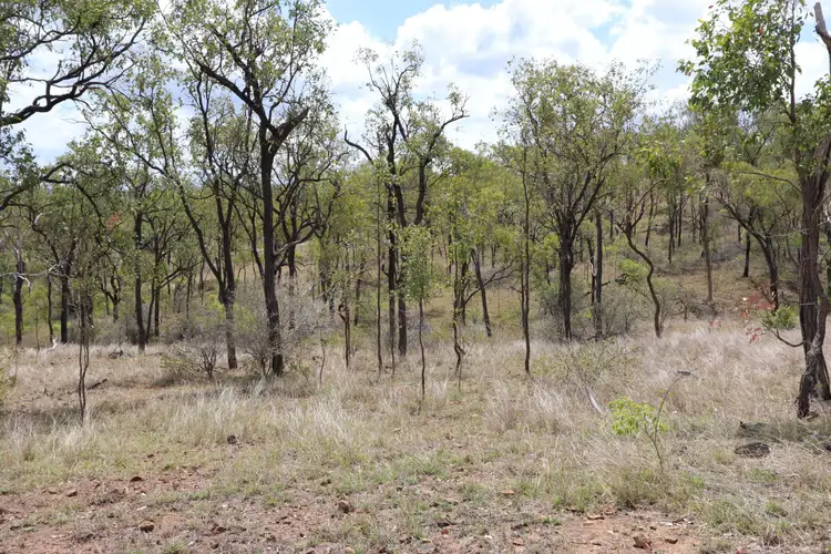 Fifth view of Homely rural property listing, 2250 Capricorn Highway, Stanwell QLD 4702