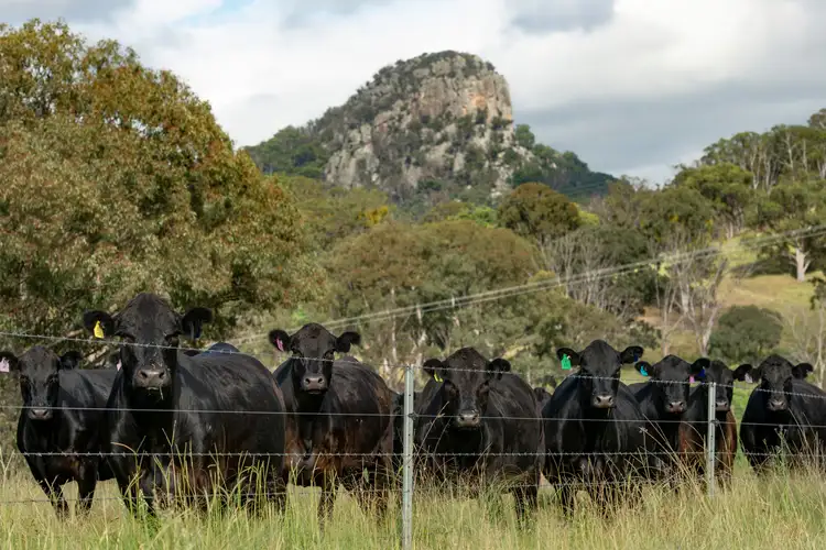 Second view of Homely rural property listing, 7784 NEW ENGLAND Highway, Tenterfield NSW 2372