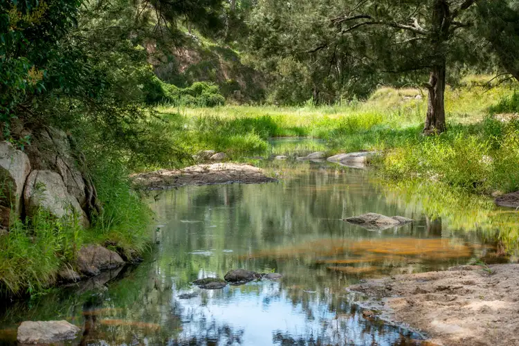 Third view of Homely rural property listing, 7784 NEW ENGLAND Highway, Tenterfield NSW 2372