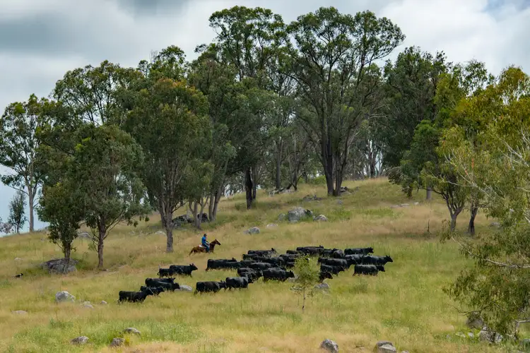 Sixth view of Homely rural property listing, 7784 NEW ENGLAND Highway, Tenterfield NSW 2372