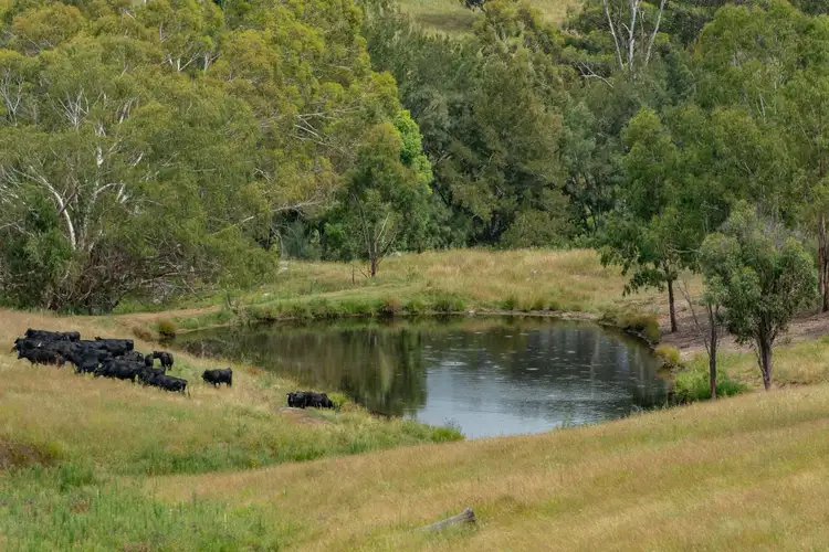 Seventh view of Homely rural property listing, 7784 NEW ENGLAND Highway, Tenterfield NSW 2372