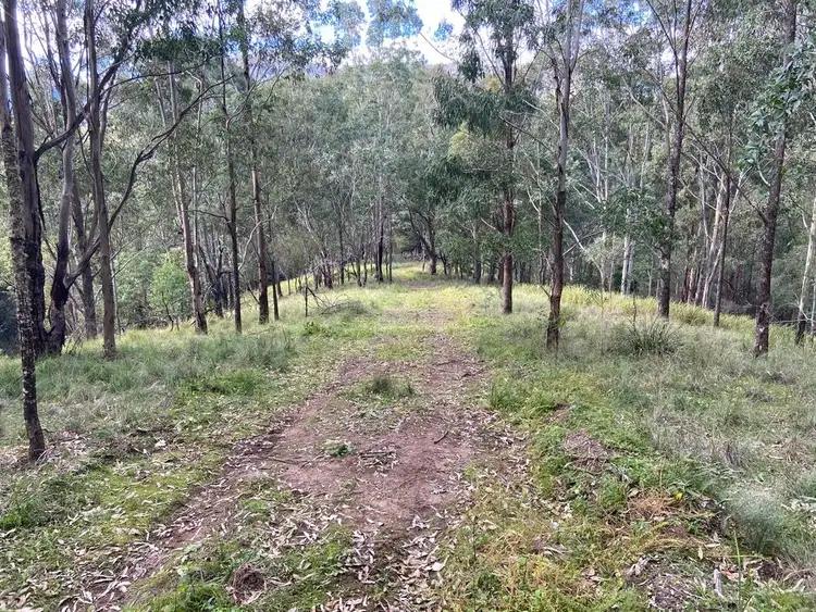 Second view of Homely rural property listing, Lot 109 Carrowbrook Road, Carrowbrook NSW 2330