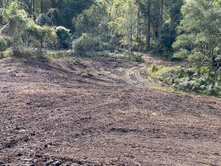 Fifth view of Homely rural property listing, Lot 109 Carrowbrook Road, Carrowbrook NSW 2330