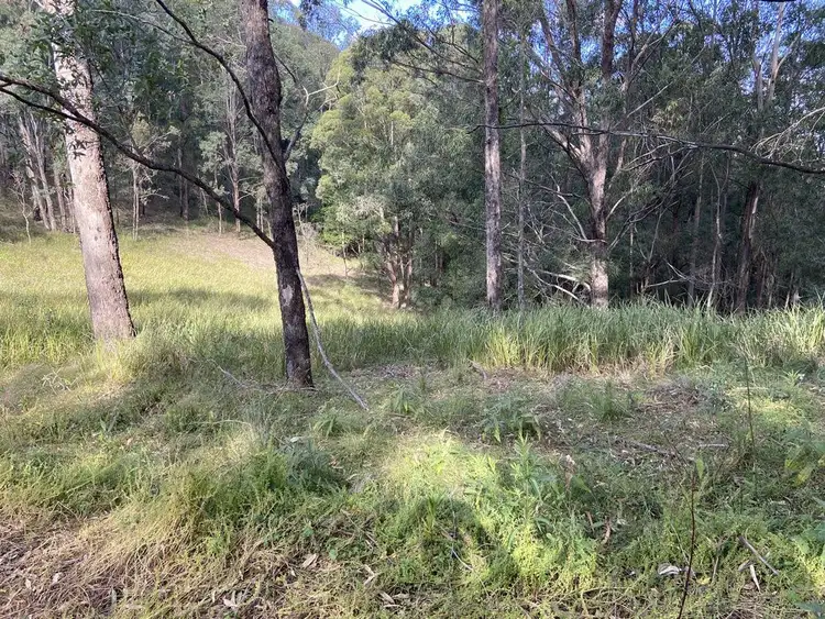Sixth view of Homely rural property listing, Lot 109 Carrowbrook Road, Carrowbrook NSW 2330