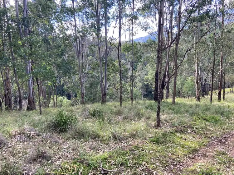 Seventh view of Homely rural property listing, Lot 109 Carrowbrook Road, Carrowbrook NSW 2330