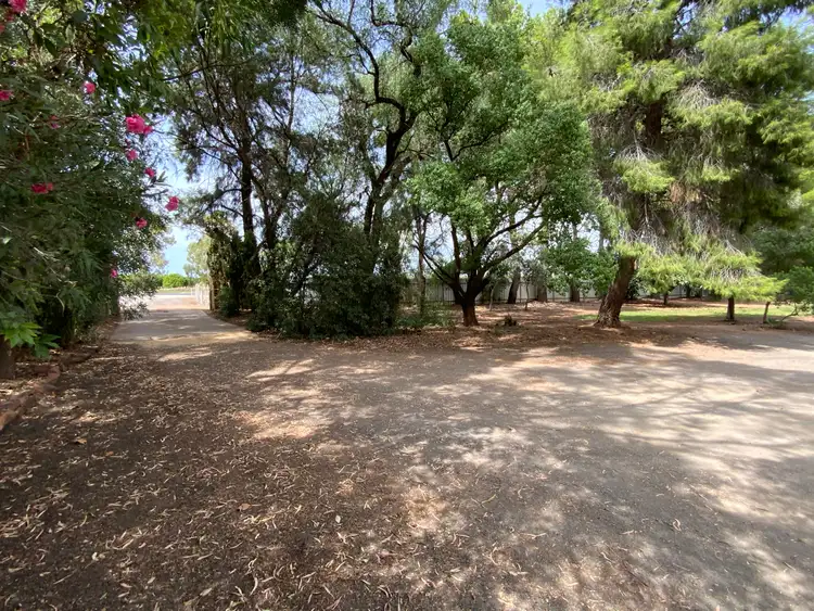 Fifth view of Homely house listing, 7994 Burley Griffin Way, Yoogali NSW 2680
