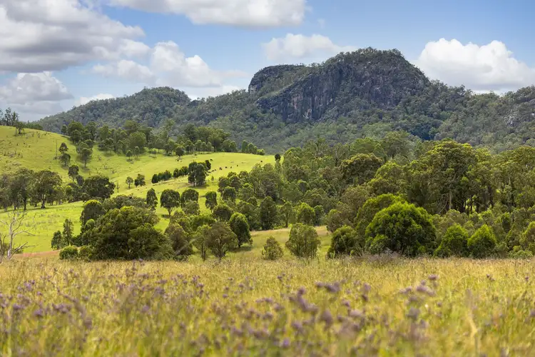 Third view of Homely rural property listing, 543 Barrington East Road, Gloucester NSW 2422